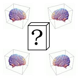 Project logo, image of 4 brains in boxen and a question mark