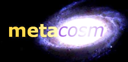 Logo Metacosm