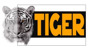 Tiger logo