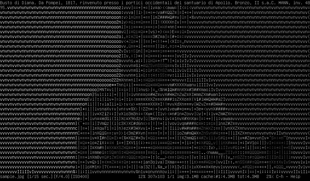 A screenshot of a coloured ASCII Art FIM run
