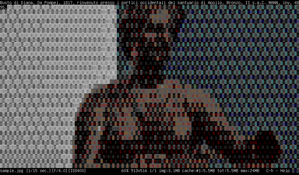 A screenshot of a monochrome ASCII Art FIM run