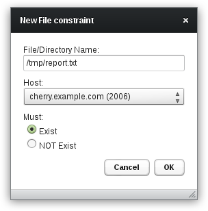 Constraint file
